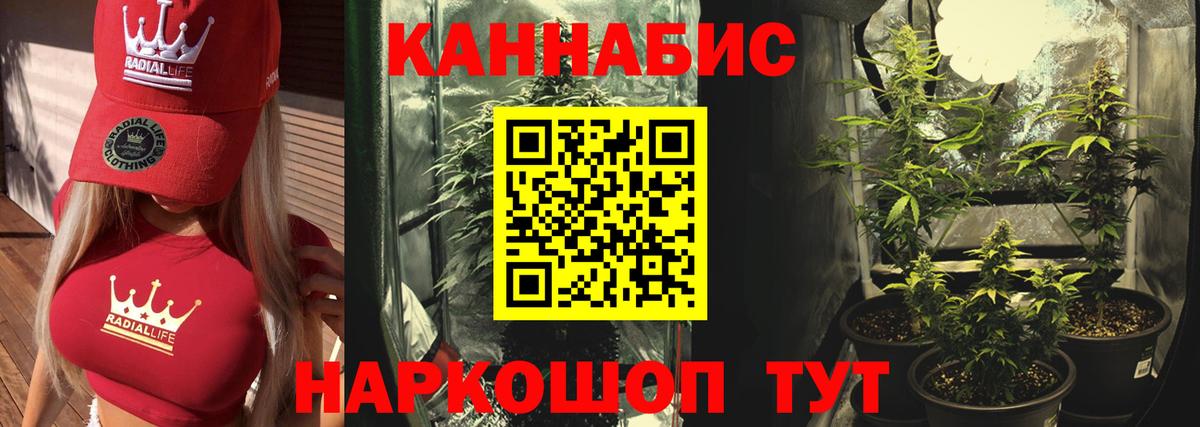 Канабис Bruce Banner  Вход с VPN  Конопля THC 21%  Ставрополь  Конопля сатива 